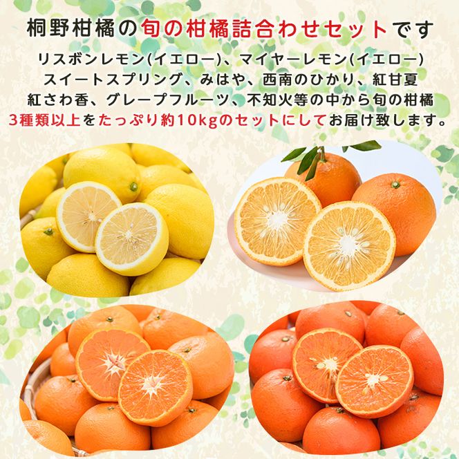 ＜先行予約受付中！2027年4月発送分！＞旬の柑橘詰合せセット (約10kg) 国産 鹿児島県 阿久根市 果実 果物 フルーツ 柑橘 みかん ミカン 旬 詰め合わせ セット【桐野柑橘株式会社】akn070-16-m04