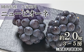 ぶどう 2026年 先行予約 ご家庭用 ニュー ピオーネ 約2.0kg （3～5房） ブドウ 葡萄 岡山県産 国産 フルーツ 果物 [№5735-0691]