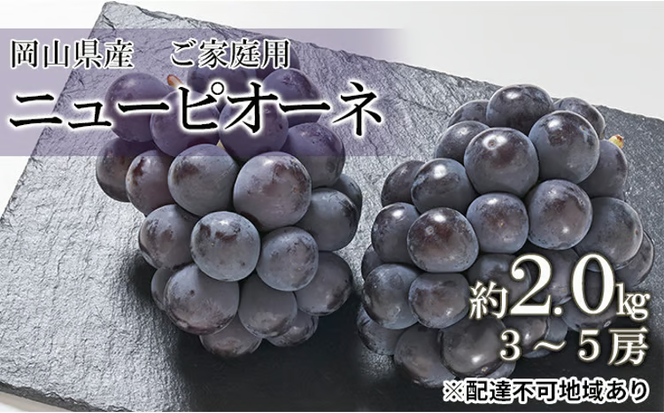 ぶどう 2026年 先行予約 ご家庭用 ニュー ピオーネ 約2.0kg （3～5房） ブドウ 葡萄 岡山県産 国産 フルーツ 果物 [№5735-0691]