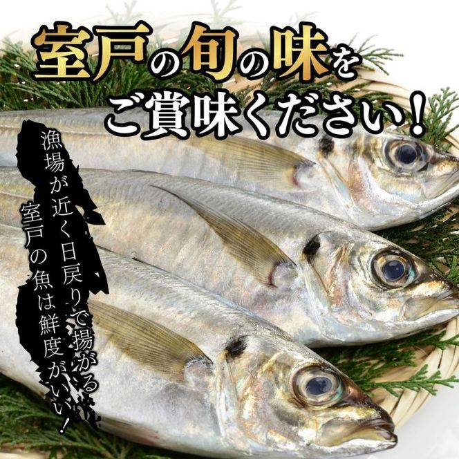 室戸市 トロ鯵 干物セット 8枚 特大 脂のり抜群 海洋深層水仕込み アジ開き 海鮮 魚介類 惣菜 冷凍 国産 送料無料 ギフト 贈答 1万円 iz021!
