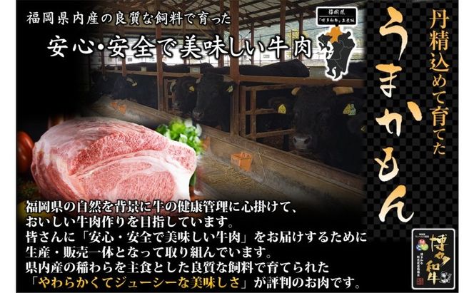 博多和牛 モモ 焼肉用・スライス 計800g (各400g) 牛肉 肉 セット ※配送不可：離島
