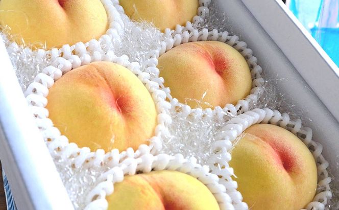 桃 2026年 先行予約 瀬戸の夕波 KU-PP2 約1.2kg 6～8玉 新品種 モモ もも フルーツ 果物 岡山 赤磐市産