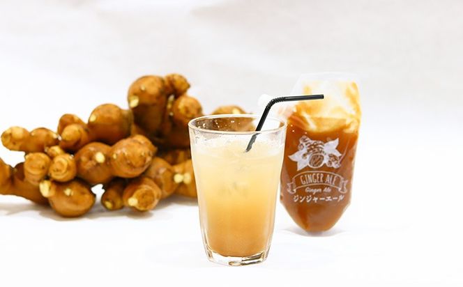 Japan Ginger厳選お取り寄せセット（各種2本）