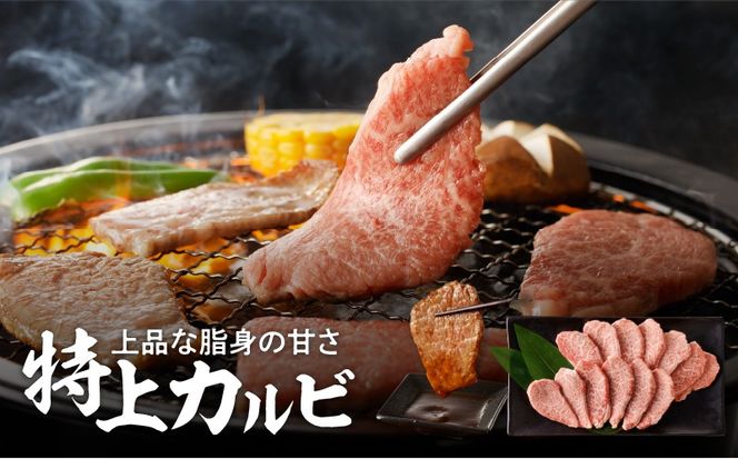 【鹿児島黒毛和牛A4～A5】焼肉特上セット(特上カルビ/特上ロース)　K189-007