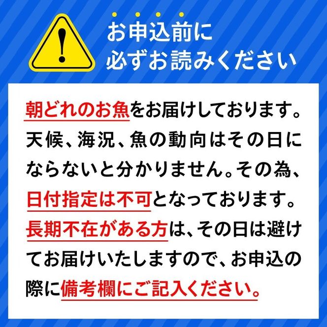 【6ヶ月定期便】大和海商 大和のこだわり漁師のお刺身　6人前 N072-YE095_1