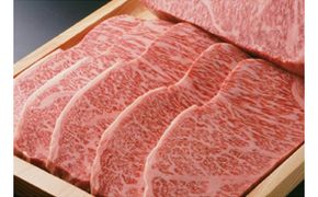 極上但馬牛 サーロインステーキ 5kg / 但馬牛 黒毛和牛 霜降り サーロイン ステーキ 赤身 ステーキ肉 焼肉 国産牛 和牛 肉 牛肉 特産品 お祝い ギフト【但馬ビーフはまだ】