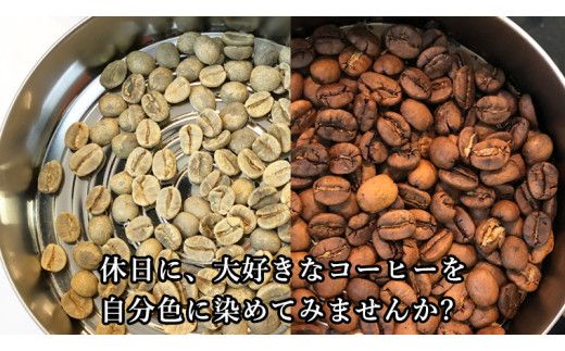 コーヒー 自家焙煎 セット コーヒー豆 200ｇ 2種 × 100ｇ コーヒー ブレンド 生豆 焙煎 初心者 お手軽 ［BN007us］