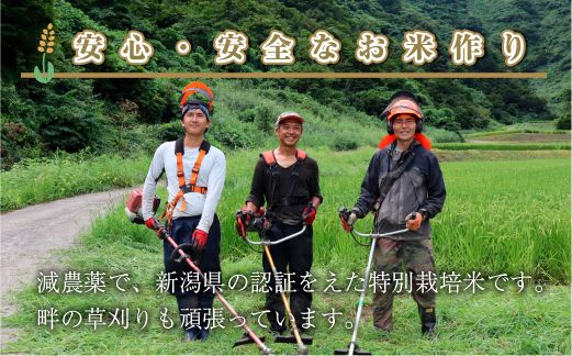 【定期便／全4回】無洗米10kg 新潟県魚沼産コシヒカリ「山清水米」 