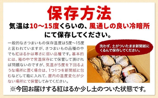 訳あり紅はるか サツマイモ 選べる 1.5kg 3kg 5kg 10kg 《2026年1月上旬-5月末頃出荷予定》紅はるか さつまいも 熊本県 大津町 イモ 芋 さつまいも 訳あり---oz_jsmih_26_af15_3500_1500g---