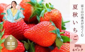 【2026年 先行予約】【湧水のミネラルたっぷり！山梨の夏秋いちご】ご家庭用 200ｇ× 4パック BB007