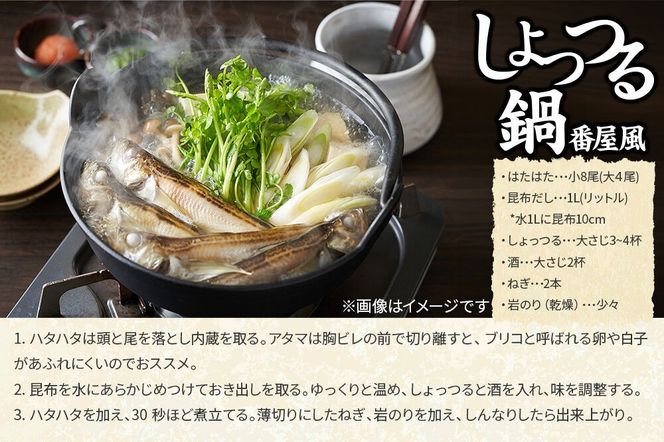 秋田しょっつる イワシ・アジ 130g×1本・秋田しょっつる タイ魚醤 130g×1本・秋田しょっつる ノドグロ魚醤 130g×1本 計3本【簡易包装での発送】 [調味料 塩魚汁 魚醤 日本三大魚醤 ナンプラー かくし味 味付け 料理 国産 秋田]|23_moj-250101