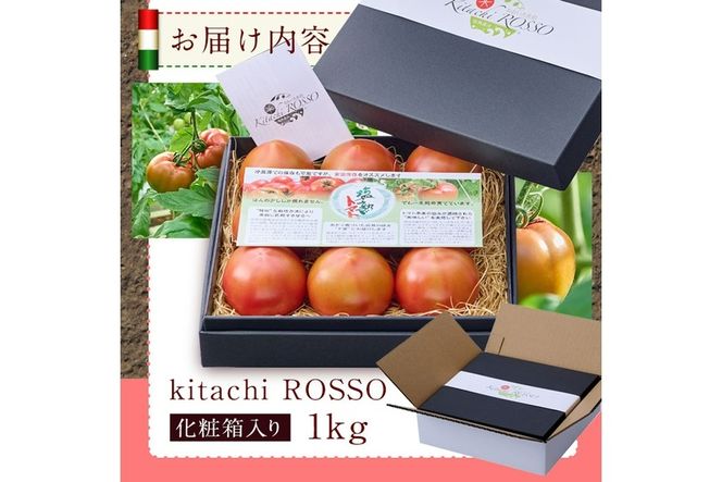 ＜先行予約受付中！2026年2月より順次発送予定＞塩熟トマト KitachiRosso (計1kg) 糖度10度以上 塩トマト 塩とまと とまと トマト 野菜 大分県 佐伯市 九州産 国産 お取り寄せ 大分県 佐伯市【AK7b】【げんきファーム】