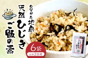 【道の駅むなかた】むなかた地島 天然ひじきご飯の素（6袋）_HA0773