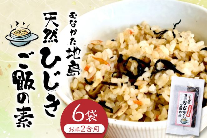 【道の駅むなかた】むなかた地島 天然ひじきご飯の素（6袋）_HA0773