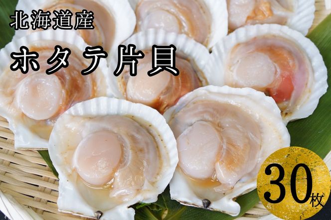 【海鮮BBQにおすすめ】北海道産 ほたて片貝 30枚 ウロ処理済み 洗浄済み殻つき 下処理済 バター焼き ご飯 冷凍 旬 おつまみ 海鮮 せたな町 ふるさと納税