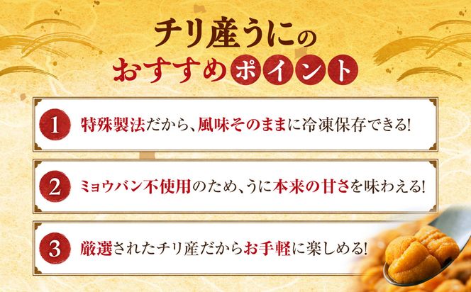 世壱屋 御雲丹100g（チリ産） 2pc_Y038-0104