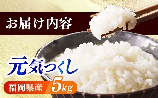 【令和6年産】果物屋さんが選んだ米 元気つくし 5kg 《築上町》【南国フルーツ株式会社】米 白米 お米 ブランド米[ABET010]