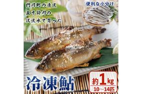 冷凍鮎(約1kg・10～14匹) 鮎 冷凍 小分け 国産 門川町産 宮崎県産 塩焼き あゆ 魚 魚介 川魚 養殖 香魚 甘露煮 【ME-04】【米良水産】