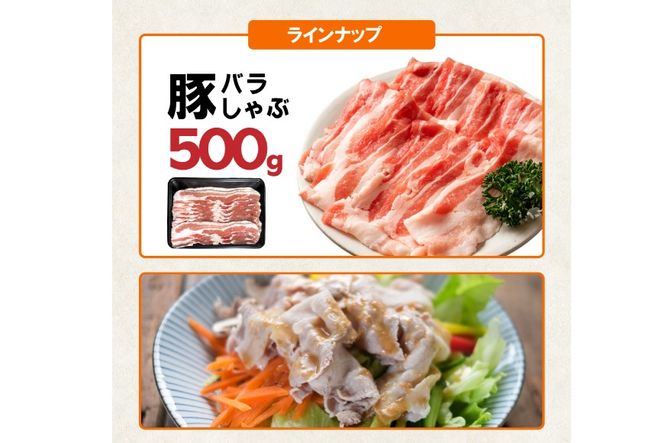 豚肉 詰め合わせ 宮崎県産豚肉 バラエティ セット 5種 4kg [南九フーズ 宮崎県 日向市 452061516] トンカツ とんかつ バラ 切り落とし しゃぶしゃぶ ロース スライス 豚こま 小間切れ ミンチ ひき肉