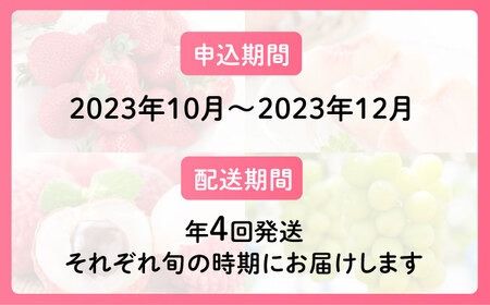 【全4回】糸島厳選くだもの定期便 約2人前 フルーツ 果物 糸島市 / やますえ あまおう シャインマスカット 桃 ライチ [AKA071] ランキング 上位 人気 おすすめ