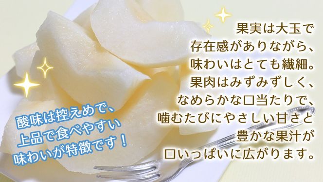 ＼選べる 内容量／かおり 約3kg・約5kg【2026年9月より発送開始】（茨城県共通返礼品 [梨]：大子町産） 高糖度 ギフト 贈り物 プレゼント フルーツ なし ナシ 和梨 梨 果実 旬のフルーツ お取り寄せ くだもの 果物 みずみずしい