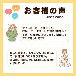【先行予約】 訳あり はるか 10kg なくなり次第終了 柑橘 かんきつ 期間限定 みかん 蜜柑 冬 糖度 みかん職人武田屋 愛媛 愛南