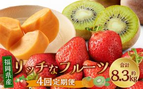 福岡のリッチなフルーツ 4回 定期便 【2026年10月下旬～2027年1月下旬発送予定】 フルーツ 果実 果物 秋王 甘うぃ あまおう 柿 キウイ いちご