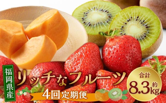 福岡のリッチなフルーツ 4回 定期便 【2026年10月下旬～2027年1月下旬発送予定】 フルーツ 果実 果物 秋王 甘うぃ あまおう 柿 キウイ いちご