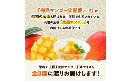 【3ヶ月定期便】完熟マンゴー定期便Vol.2【 川南町産 くだもの マンゴー 】[C11707t3]