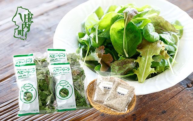 �y�R�`�����c��S�������z�����Y �x�r�[���[�t�~�b�N�X 70g×4�܂Ɩ�ؗp�n�[�u���Z�b�g �y�k�͔| �T���_ �X���[�W�[ ��t ��� ����� �V�N �R�`�� �①