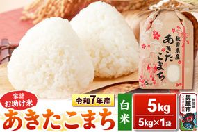 令和7年産【白米】家計お助け米 あきたこまち 5kg 秋田県 男鹿市 こまちライン [あきたこまち 5kg]|23_kml-010501