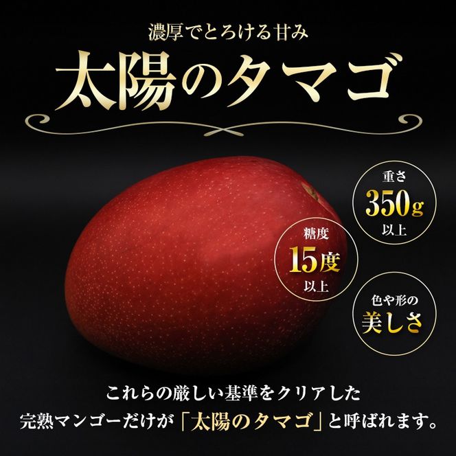 【令和8年発送 先行予約】完熟マンゴー「太陽のタマゴ」 2L×2玉（フルーツ マンゴー 完熟マンゴー アップルマンゴー 果物 くだもの 先行受付）