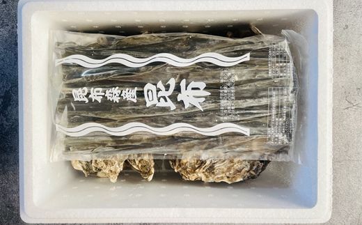 北海道 仙鳳趾名産 牡蠣 100g～149g×25コ＋かきナイフ付き 昆布森の昆布のセット かき漁師直送 K1-2＜出荷時期：2025年10月以降 順次出荷＞＜センポウシ : 釧路町の東 厚岸湾の西 カキの名産地＞ 生牡蠣 絶品 産地直送 北海道 釧路町 釧路超 特産品 121-1266-38