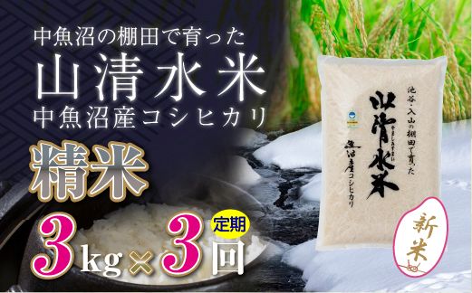【令和8年産 新米】 【定期便／全3回】精米3kg 新潟県魚沼産コシヒカリ「山清水米」