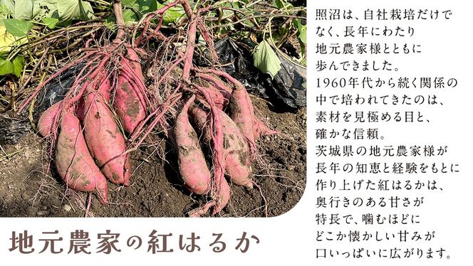 雪の華 干し芋 紅はるか 平干し 900g（100g × 9袋） つくばみらい さつまいも 平干し 干し芋 いも 照沼 食物繊維 マタニティフード ダイエット 工場直送 和スイーツ 和菓子 小分け 食べ切り [DY13-NT]