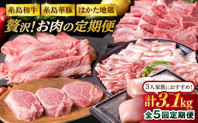 美味しさ 満載 ！ 贅沢 お肉 セット の 定期便 全5回（月1回） 3人 家族用 【福岡 糸島産 牛肉 豚肉 鶏肉 ステーキ しゃぶしゃぶ すき焼き ヒレ シャトーブリアン ロース 】 糸島 / 糸島ミートデリ工房 [ACA084] すき焼き 定期便 切り落とし しゃぶしゃぶ ステーキ 焼肉 赤身 黒毛和牛 国産