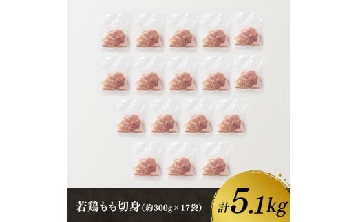 鶏肉 企業努力により実現！ 若鶏もも切身 計5.1kg(4.8kg(300g×16袋)+300g) 【 国産 鶏肉 肉 とり もも肉 モモ 5.1kg からあげ 唐揚げ チキン南蛮 送料無料 】 ☆[C00711]