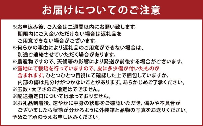【先行受付】特別栽培不知火 5kg サイズミックス  特別栽培 不知火 柑橘 デコポン でこぽん フルーツ 果物 果実 九州産 熊本県産【2027年3月上旬から4月上旬発送予定】