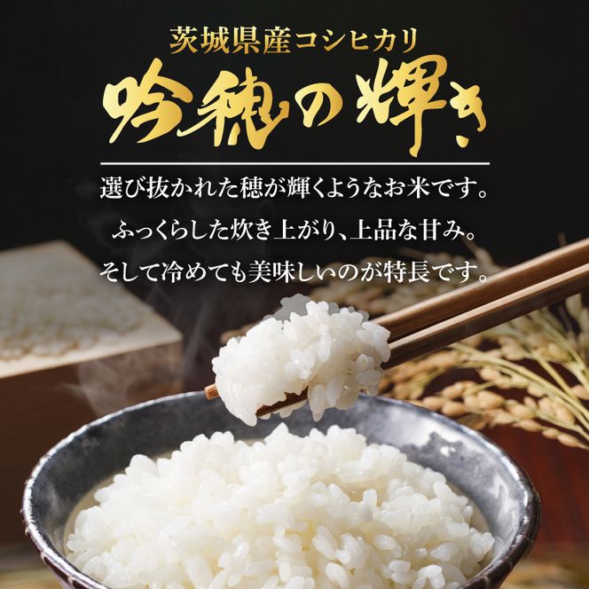 ＜令和8年産＞新米 コシヒカリ 6kg 2kg×3袋 精米 こしひかり 米 ごはん コメ お米 白米 国産 茨城県産
