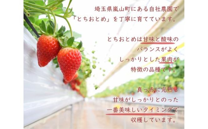 埼玉県嵐山町産いちご使用 特製いちごジャム3本セット ストロベリー 自社農園 栽培 とちおとめ 無着色 食品添加物 無添加 自慢 果肉 たっぷり 贅沢 トースト ヨーグルト 