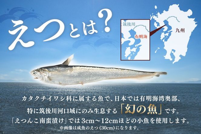 えつんこ南蛮漬け【えつ エツ 南蛮漬け おかず お惣菜 稚魚 有明海 徐福伝説 国産 地域 珍味】(H028107)