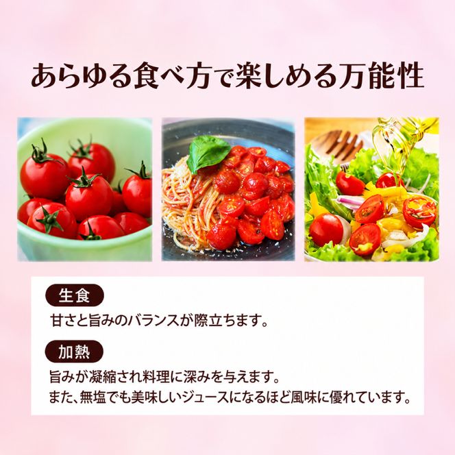 訳あり 北海道 十勝の太陽を浴びたプレミアムトマト 「Mr.浅野のけっさく2」2.5kg ［中村農場］【 訳あり トマト フルーツトマト 中玉トマト ミディトマト 高糖度 甘い 濃厚 寒暖差 野菜 こだわり 農家直送 北海道 十勝 幕別 】