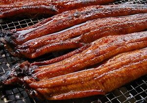 【ふるさと納税】【訳あり】地元産の美味しいお米で炊いたご飯付、見習い職人のうなぎ蒲焼丼 2人前セット レンチン 数量限定 うなぎ ウナギ 鰻 蒲焼き 蒲焼 うな丼 鰻丼 丼ぶり 丼 丼もの ご飯 ごはん 惣菜 冷凍 兵庫県 新温泉町 送料無料