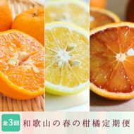 定期便全3回 【2月・3月・4月発送】 和歌山の春の柑橘 （ポンカン・はるか・ブラッドオレンジ）秀品【tkb452】