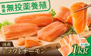 無投薬 国産 トラウトサーモン 小分け 1kg以上 刺身用【宗像陸上養殖】_AS1983-00 無投薬 国産 鮭 サーモン 200 1000 福岡県宗像市 宗像市 福岡 宗像