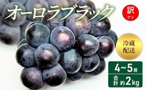 【2026年 先行予約】【訳あり品】 オーロラブラック 4～5房 合計約2kg 冷蔵配送 ぶどう 葡萄 フルーツ 果物 岡山 岡山のぶどう 食後 デザート 産地直送 大粒 爽やか 食べやすい 