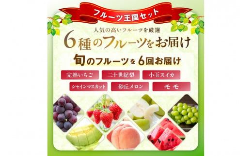 【先行予約／フルーツ定期便6回】旬の果物厳選！京丹後フルーツ王国セット（完熟イチゴ・小玉スイカ・桃・メロン・シャインマスカット・二十世紀梨）（2027年2月中旬～発送）　YK00705