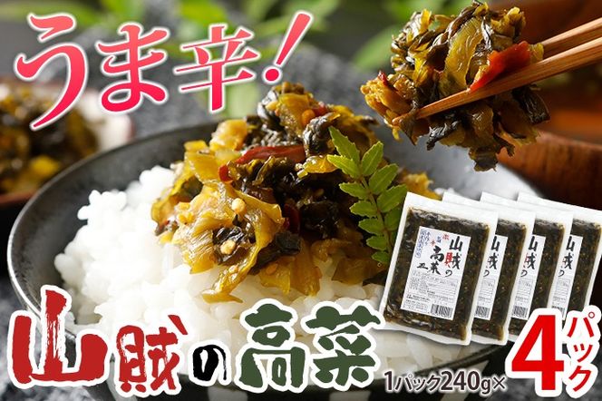 辛子高菜 240g×4パック 山賊の高菜 からし高菜 メール便 ポッキリ お米に合う ご飯のお供 おつまみ 国産 無添加 お取り寄せ 福岡 お土産 九州 グルメ 福岡県