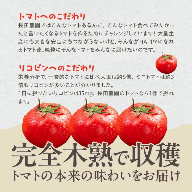 【先行受付】12月～6月毎月発送　プレミアムフルーツトマトの定期便　7回コース 【ソムリエサミット 金賞 受賞】 長田農園 元気玉フルーツトマト 産地直送 トマト とまと 野菜 やさい フルーツ サラダ 濃厚 甘い ご褒美 プレゼント 美容 健康 リピート多数 人気 高評価 数量限定 碧南市 H004-193