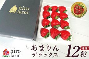 あまりんデラックス【埼玉県 春日部 いちご あまりん 大粒 フルーツ 高級 贈答用】（DI001）